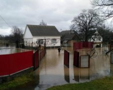 Водный апокалипсис: стихия натворила беды на Закарпатье, фото