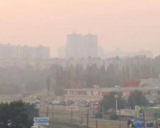 Лівий берег Києва затягнуло димом від лісової пожежі