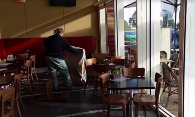 Кенгуру заглянув "на каву" у кафе Мельбурна