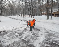 Одеські комунальники довели українців до істеричного реготу: врятували мишей від ожеледиці