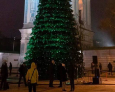 Головна ялинка країни-2026, Софіївська площа, фото: Знай.ua