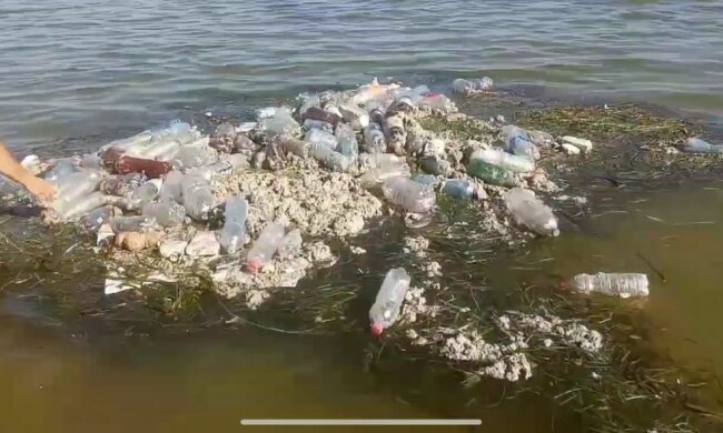 У Запоріжжі з'явився сміттєвий "айсберг" в морі - риби дохнуть, туристи крутять носом