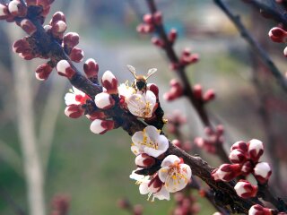 Погода в Україні, весна, фото: Знай.uа