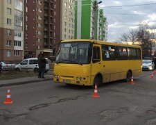 На Львівщині маршрутка з людьми зробила "сальто", всі вирішили секунди: моторошні подробиці