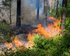 Дніпряни у пастці: рятувальники попередили про найстрашніше