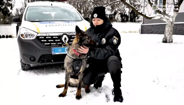 Черновчанка в погонах тренирует хвостатую помощницу, настоящая любовь: "Собачье счастье выглядит так"