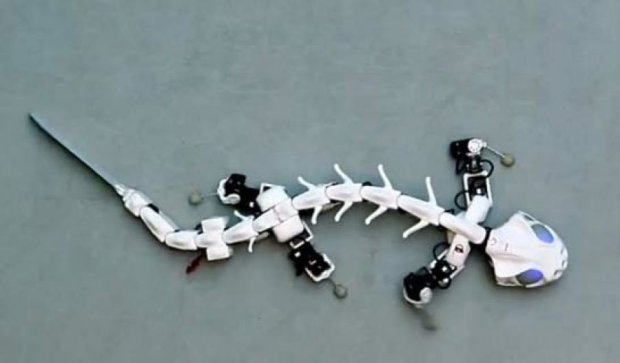 Вчені створили першого в світі робота-ящірку