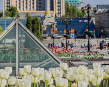 Украинцы, Киев, цветы, фото из соцсетей
