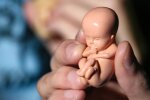 Фото: з відкритих джерел