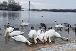 Зима сковывает Украину: синоптики предупреждают о рекордных морозах и снежном коллапсе