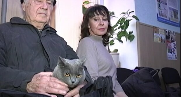 Бешеный кот под Харьковом закрыл на карантин целое село - шерсть дыбом, когти наготове