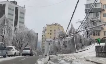 Владивосток, фото: кадр из видео