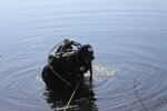 Був як риба у воді: таємнича загибель чоловіка жахнула Івано-Франківщину