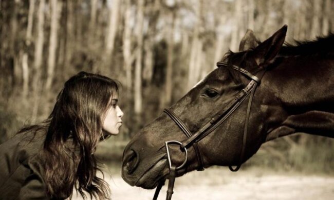 Вчені довели, що коні пам'ятають емоції людей