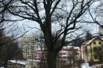 джерело: Львівський портал