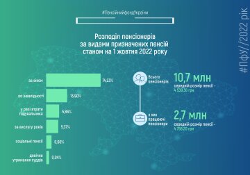 Скриншот инфографика, ПФУ