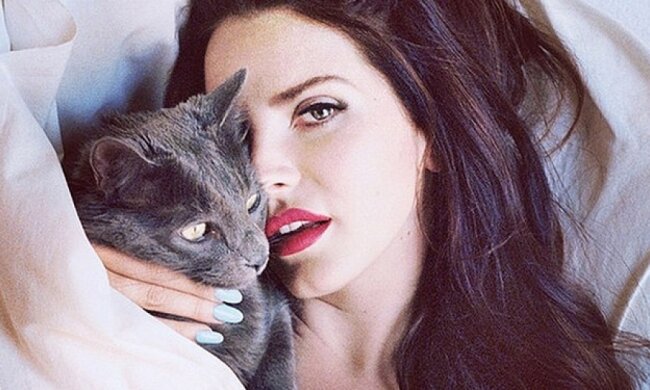 Зіркові красуні показали своїх котів у Instagram (фото)