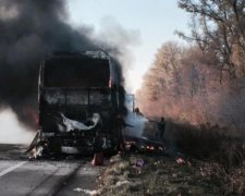 На під'їзді до Києва згорів пасажирський автобус (фото)