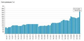 Динаміка зростання цін на домашнє сало, дані Мінфін