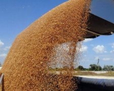 Україна вдвічі збільшила експорт агропродукції до Японії