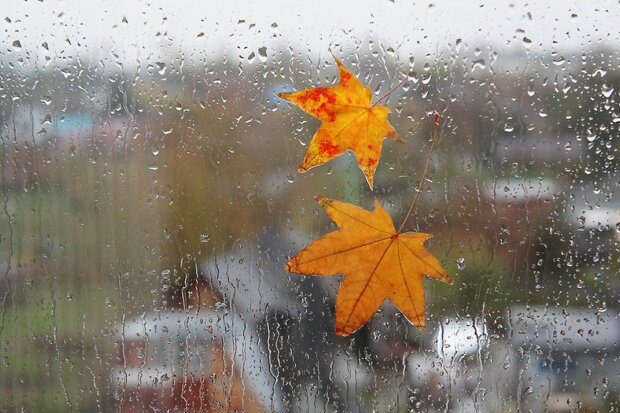 Погода на начало недели: осень бесцеремонно ворвется в Украину