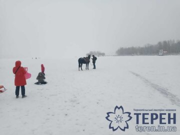 Водойма в Тернополі, фото: Терен