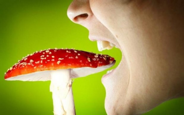 Отруєння грибами: симптоми і лікування