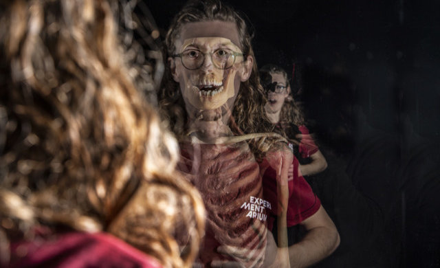 В Киеве покажут человеческие тела изнутри: выставка Body Worlds шокировала зрителей по всему миру