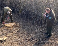 Госэкоинспекция