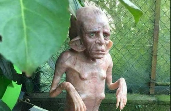 В Чечне красный портал "выплюнул" свынорыла: фото космического Добби с Юпитера могут вас шокировать