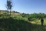 Под Днепром исчез ребенок: родители в отчаянии, Даша Лукьяненко перед глазами