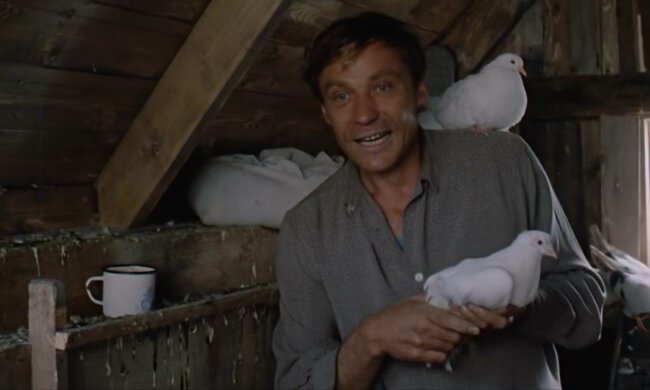 Любов і голуби, фото: скріншот з відео