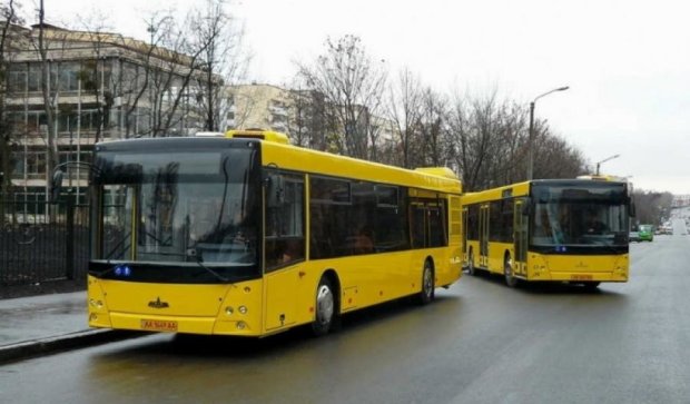 Все маршрутки в Киеве  заменят автобусами