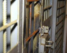 На Прикарпатті у СІЗО повісився затриманий