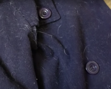 Шерсть на одязі Фото: скрін youtube