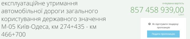 Тендер на ремонт траси Київ-Одеса / фото: скріншот Prozorro
