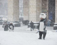 Времена года запутались: в Украину надвигается еще одна беда