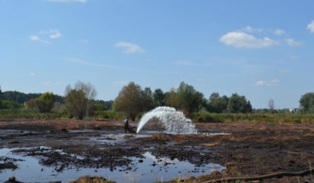 В Киевской области горит более 30 гектаров торфяников (фото, видео)