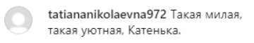 Скріншот з коментарів, instagram.com/kosadcha/