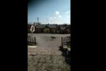 Вулицями Трускавця розгулює олень, скріншот відео