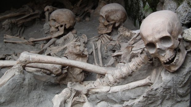 Археологи нашли скелеты людей с четырьмя ногами: фото