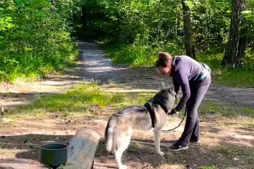 Прогулянка з собакою. Фото: скрін youtube