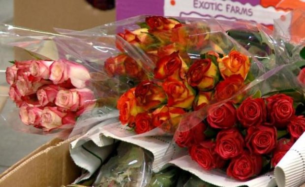 Россияне перед 8 марта сжигают импортные цветы