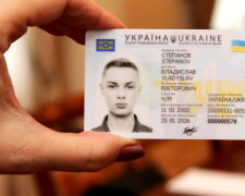 Цифровой паспорт Украины