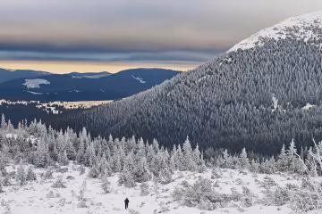 Справжня зима: українцям показали засніжені Карпати, - фото морозної казки