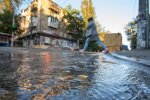 В Киеве дерево похоронило заживо молодую женщину