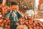 Хэллоуин, фото из соцсетей