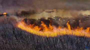 Пожар в Чернобыле, фото Facebook ГСЧС