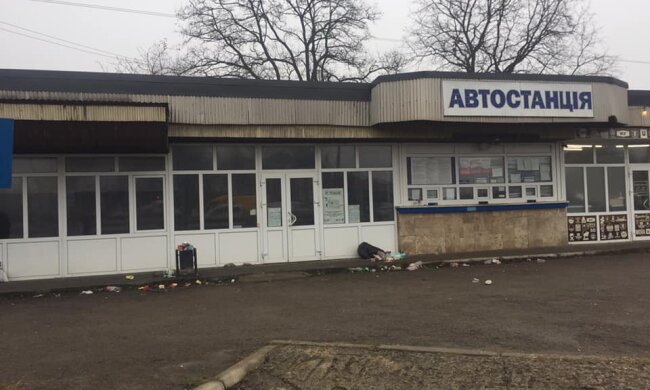 фото: Надежда Гибнер