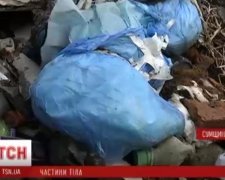 На Київщині знайшли людські рештки